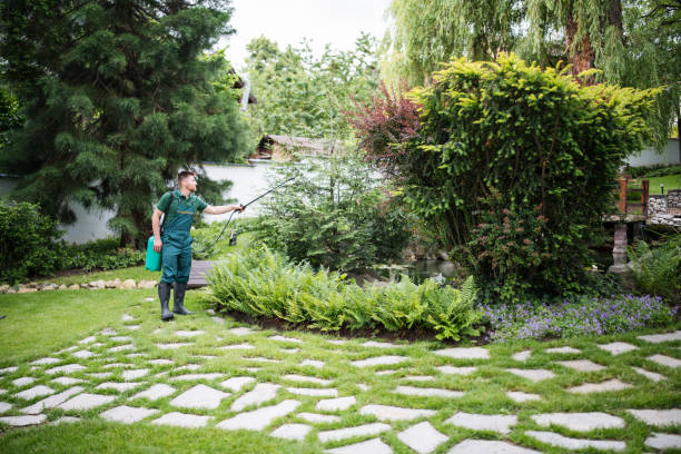 Professional Tree Services in Morrisonville, NY